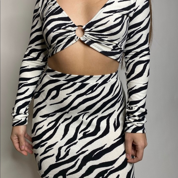 Zebra Print Crop Top Skirt Set - Picture 2 of 3
